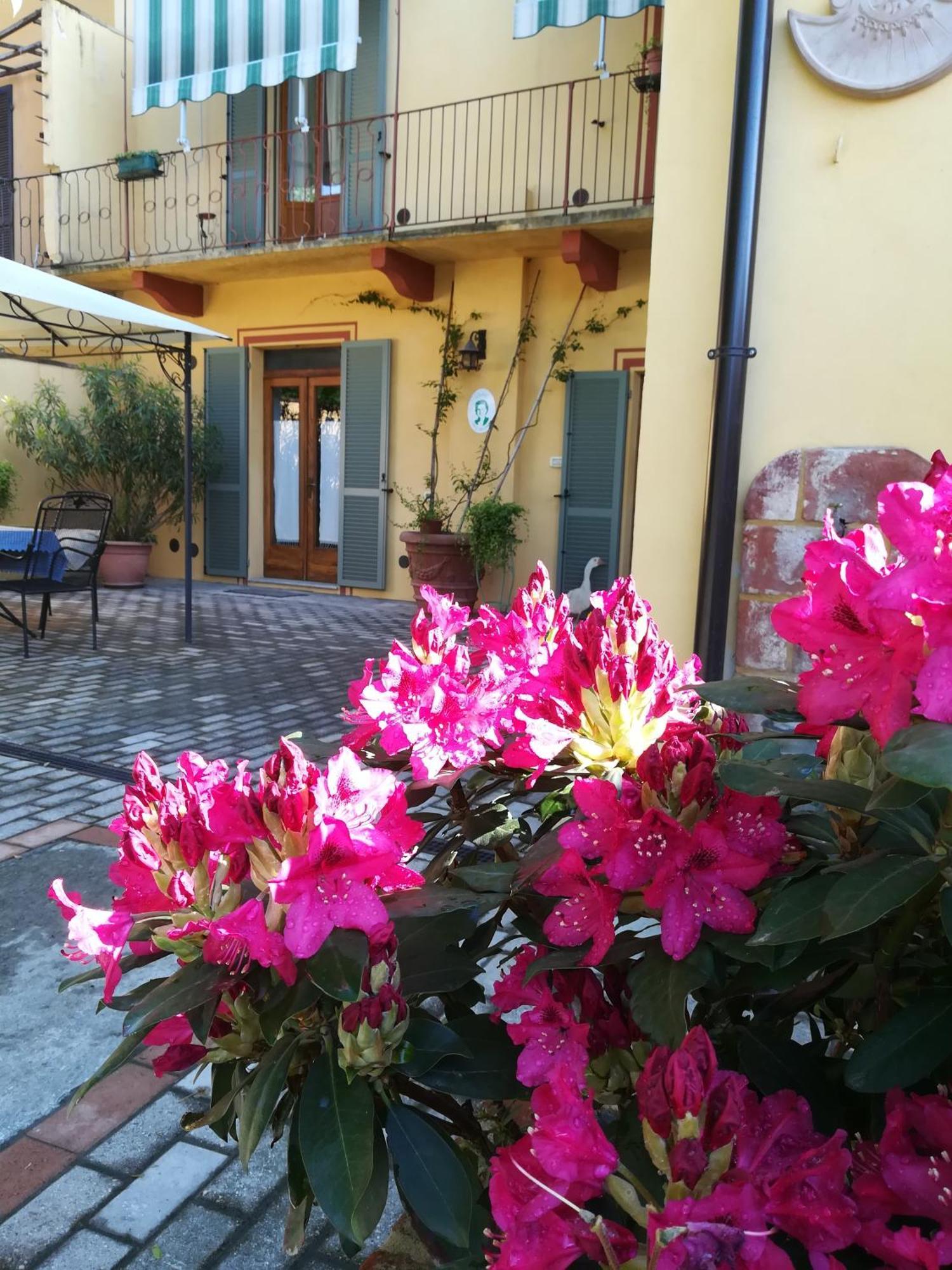 L'Adele Bed & Breakfast Occimiano Екстер'єр фото