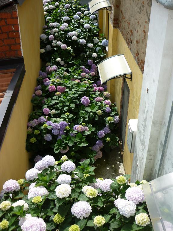 L'Adele Bed & Breakfast Occimiano Екстер'єр фото